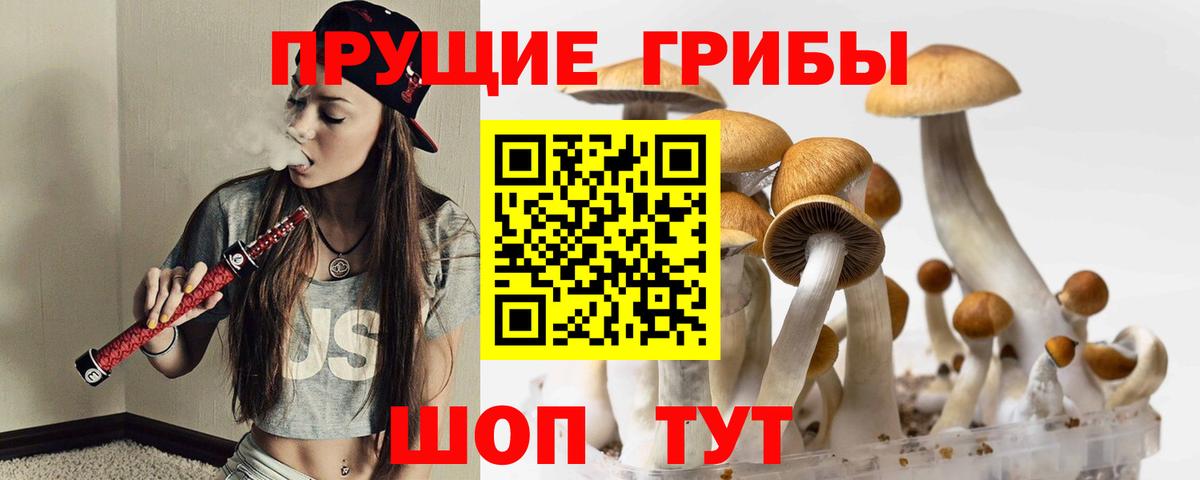 Галлюциногенные грибы MAGIC MUSHROOMS  Вход с VPN  Армавир 